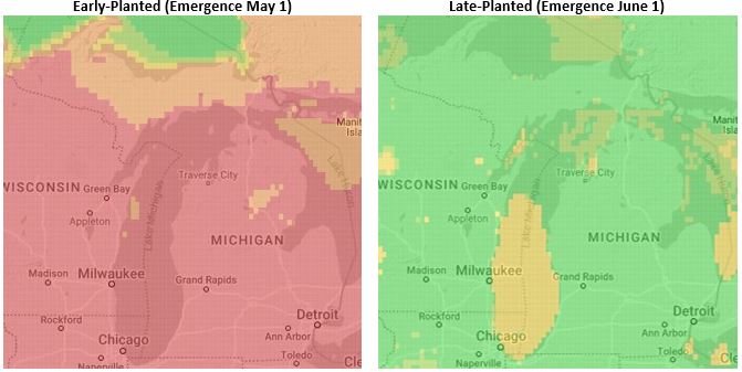 Early blight risk potato - Jul 13 2022